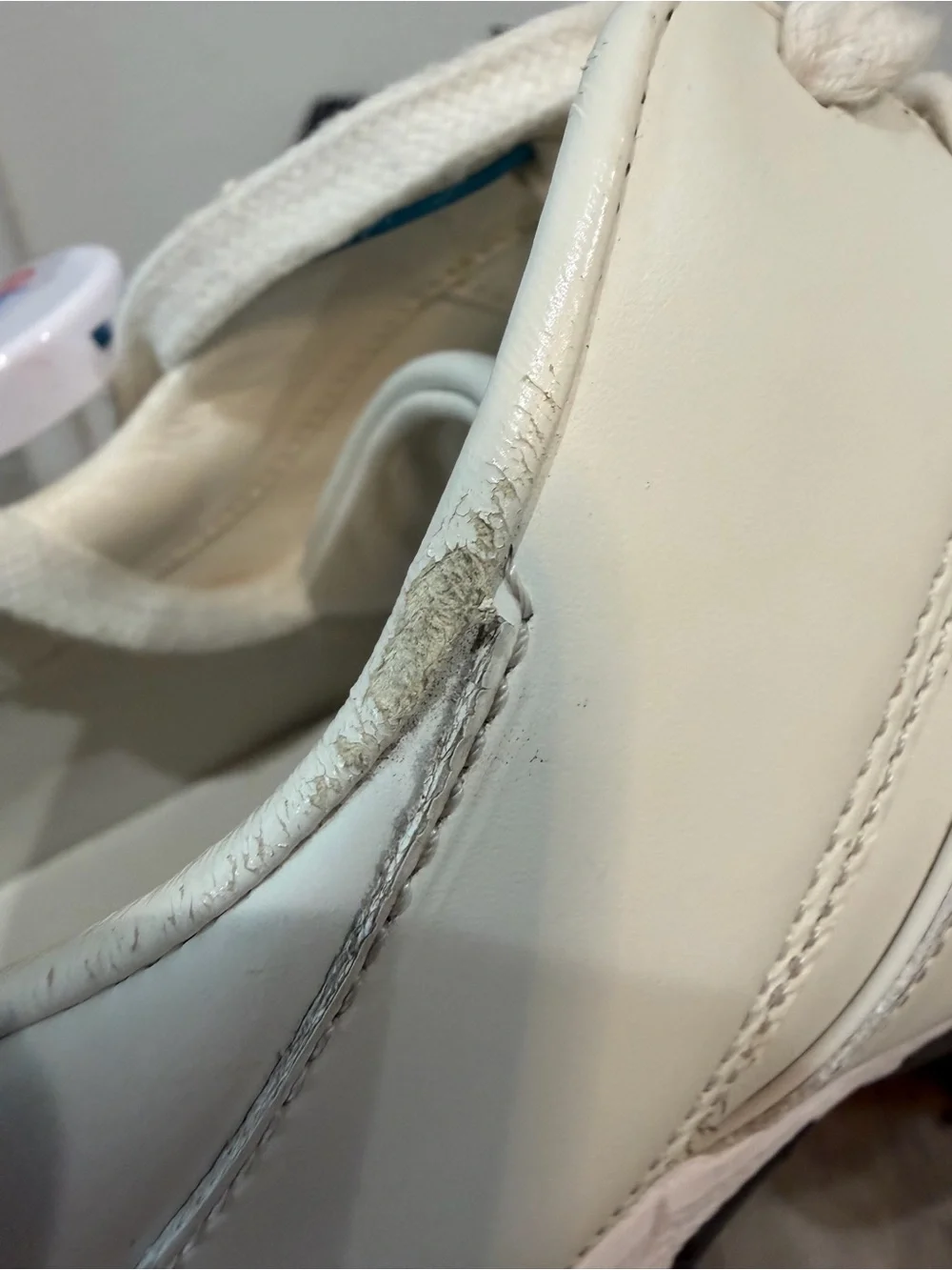 Gucci always open